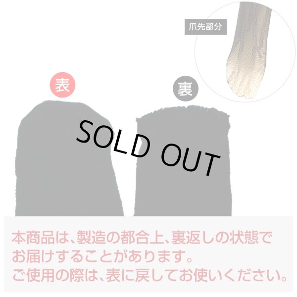 画像3: 網タイツ 【リボン柄】 ブラック 黒 フリーサイズ セクシー コスプレ イベント ロリータ ダンス用 メッシュ生地 レディース 柄タイツ レース COS-031 (3)