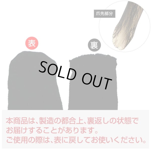 画像3: 網タイツ 【花柄】 ブラック 黒 フリーサイズ セクシー コスプレ イベント ロリータ ダンス用 メッシュ生地 レディース 柄タイツ レース COS-032 (3)