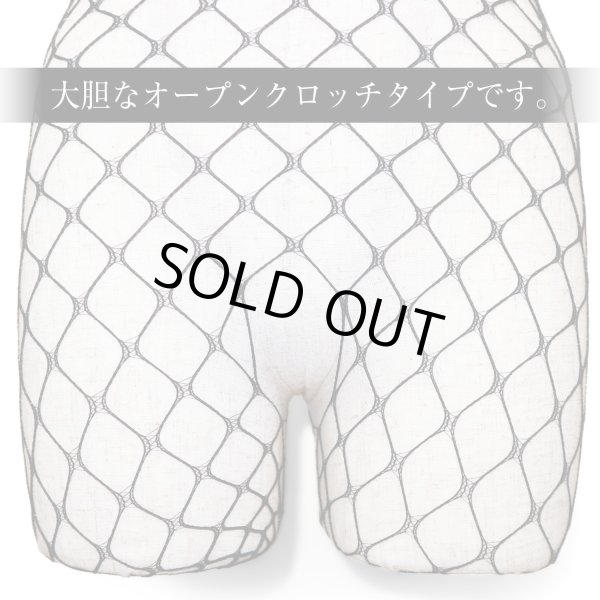 画像4: 全身網タイツ 【ベアトップ Aタイプ】 ボディストッキング セクシー 穴あき 黒 過激 ボディタイツ 網タイツ 全身ストッキング 透け エロ LIG-042 (4)